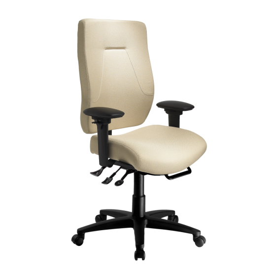 ergoCentric 300 LB 24Centric 24 Hour Multi Tilt Office Chair